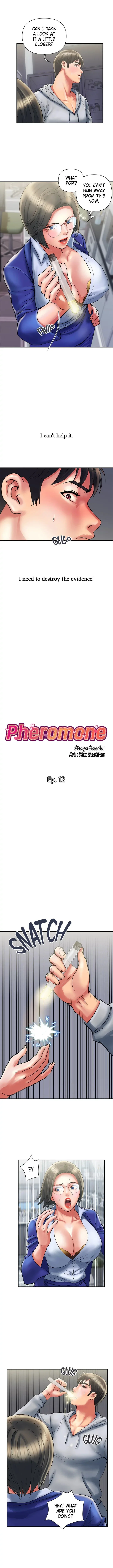 Pheromones Chapter 12 page 1